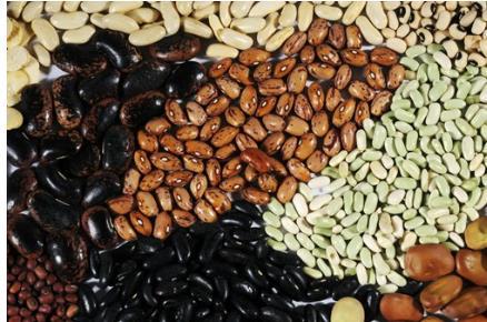 減肥中的肥胖患者日常飲食禁忌