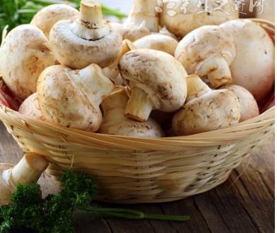 哪些食物有殺菌和防感染增強免疫力的功效