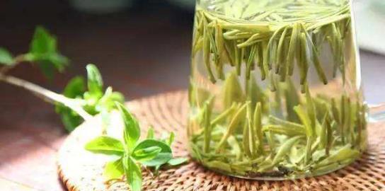 泡水喝野藤茶補充身體氨基酸保健作用