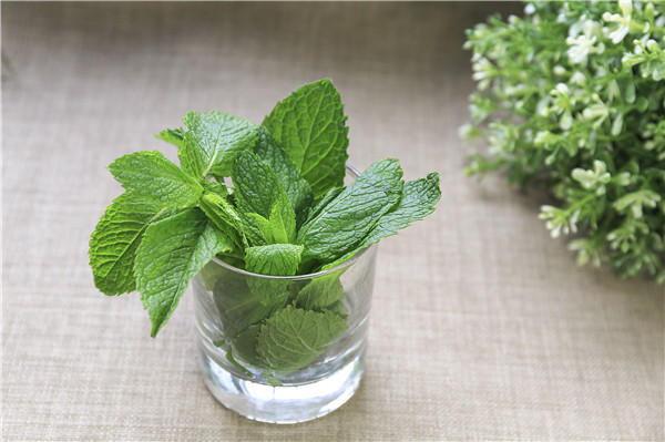 清肺吃什么食材