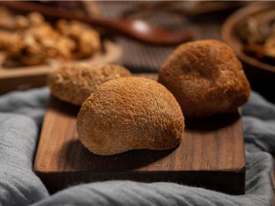 猴頭菇的作用與功效