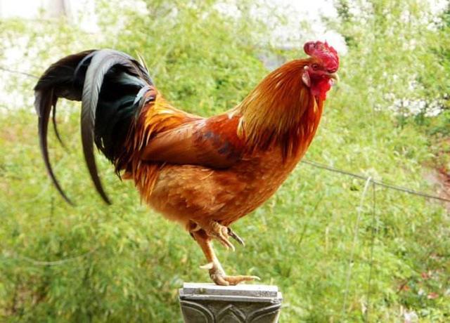 這好多個養(yǎng)生健康方式，堅(jiān)持到底，毫無疑問會獲得出乎意料的實(shí)際效果