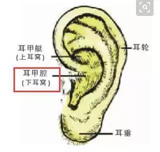 這一位置，拉的越大，腎就就越好，男人女人都合適