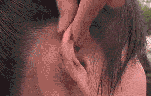 這一位置，拉的越大，腎就就越好，男人女人都合適