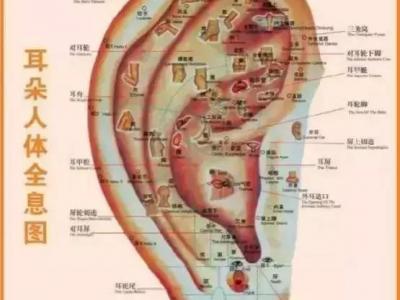 這一位置,拉的越大,腎就就越好,男人女人都適合