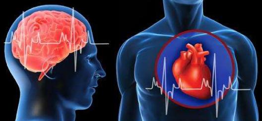 10個(gè)最長(zhǎng)壽的人健康養(yǎng)生感受，學(xué)會(huì)了其實(shí)不是很難