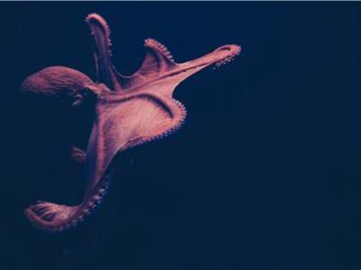 學中醫養身，這4個方法都是“根本所在”！簡單功能強大