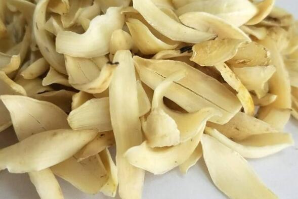 龍牙百合的作用與功效