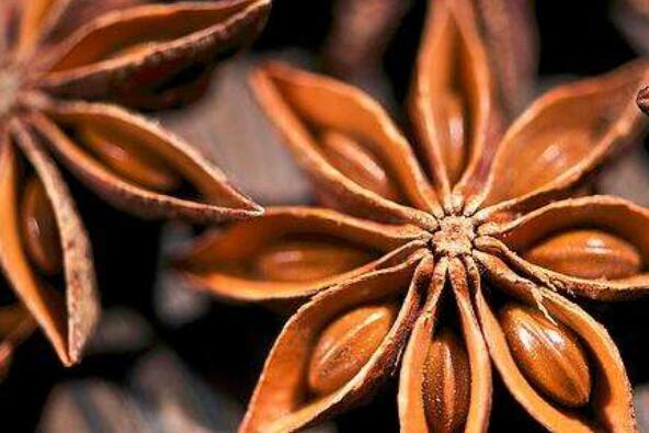 八角熬水的作用與功效及禁忌