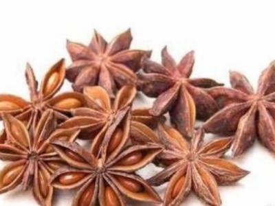 八角油的功效與作用 八角油的主要用途