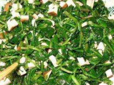 刺兒菜怎么吃 刺兒菜的食用方法全集