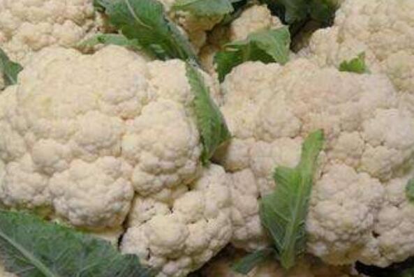 花野菜的作用和功效