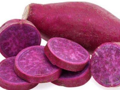 女士為什么不能吃紫紅薯 女士吃紫紅薯的益處
