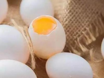 鴿蛋的作用與功效 鴿蛋的營養(yǎng)成分