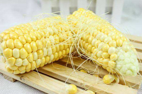 玉米須泡茶的作用與功效 什么樣的人不適合喝玉米須水