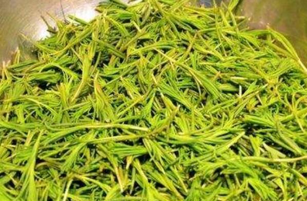 海蓬菜什么樣的人不應多食 海蓬菜的禁忌