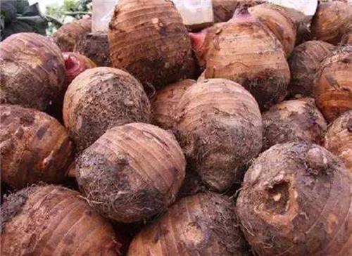 芋頭的作用和功效