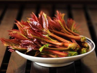 香椿怎么吃 香椿芽的吃法