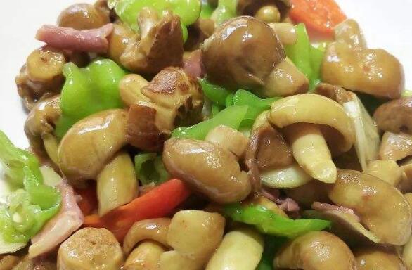 青頭菌的作用與功效 青頭菌如何吃