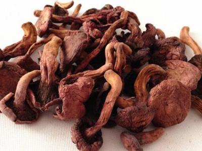 什么叫肉蘑 肉蘑的吃法