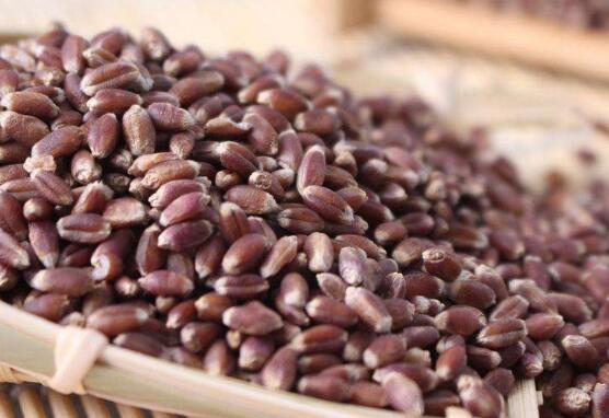 黑麥仁怎么煮粥 黑麥仁粥的做法教程