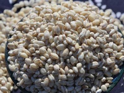 青稞粥怎樣熬 青稞粥的做法實例教程