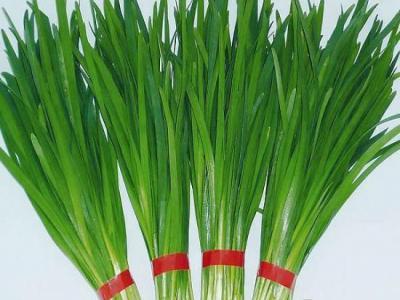 補腎吃什么？ 韭菜效果佳