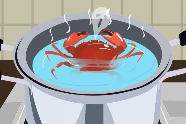 梭子蟹的做法清蒸幾分鐘 梭子蟹的營養價值和功效