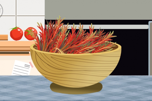 香椿不能和什么同吃 富含維生素C的水果有哪些