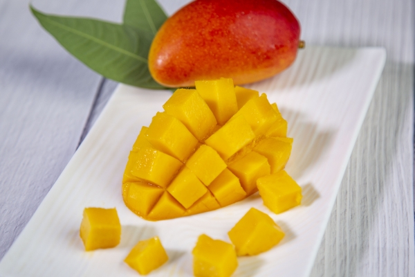 芒果和牛奶可以一起吃嗎 日常芒果甜品食譜-易網(wǎng)<a href=http://www.xllyou.com/ target=_blank class=infotextkey>健康養(yǎng)生</a>網(wǎng) 芒果和牛奶可以一起吃嗎 日常芒果甜品食譜