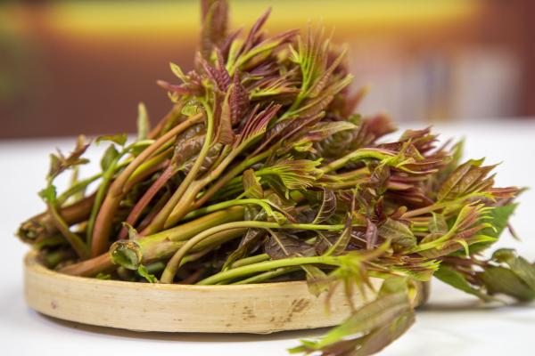 香椿可以曬干保存嗎 香椿怎么曬干-易網健康<a href=http://www.xllyou.com/jkys/ target=_blank class=infotextkey>養生</a>網 香椿可以曬干保存嗎 香椿怎么曬干