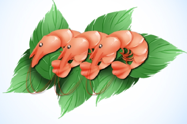 蝦可以和雞蛋一起吃嗎 雞蛋的營養(yǎng)價(jià)值和功效-易網(wǎng)健康<a href=http://www.xllyou.com/jkys/ target=_blank class=infotextkey>養(yǎng)生</a>網(wǎng) 蝦可以和雞蛋一起吃嗎 雞蛋的營養(yǎng)價(jià)值和功效