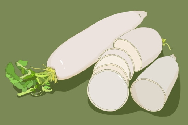 白蘿卜和紅蘿卜可以一起吃嗎 白蘿卜的功效與作用-易網(wǎng)<a href=http://www.xllyou.com/ target=_blank class=infotextkey>健康養(yǎng)生</a>網(wǎng) 白蘿卜和紅蘿卜可以一起吃嗎 白蘿卜的功效與作用