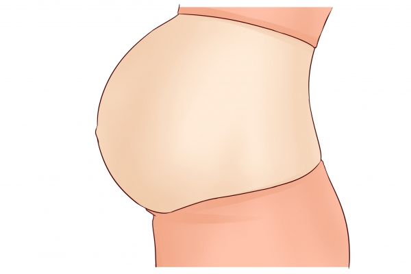 梭子蟹要蒸多久才能蒸熟 梭子蟹不適合什么人吃-易網<a href=http://www.xllyou.com/ target=_blank class=infotextkey>健康養(yǎng)生</a>網 梭子蟹要蒸多久才能蒸熟 梭子蟹不適合什么人吃