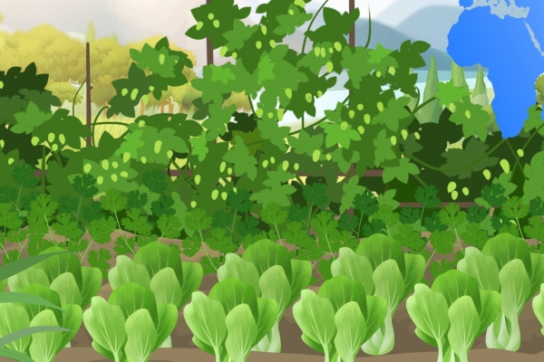 香椿可以吃到什么季節 四月份適合吃什么蔬菜-易網<a href=http://www.xllyou.com/ target=_blank class=infotextkey>健康養生</a>網 香椿可以吃到什么季節 四月份適合吃什么蔬菜