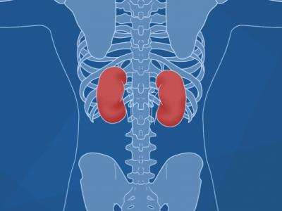 哪些人不適合吃香椿芽 香椿木的功效與作用