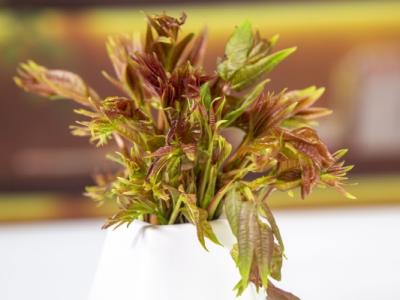 懷孕可以吃香椿炒雞蛋嗎 懷孕吃什么堅(jiān)果好