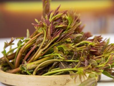 男人吃香椿壯陽嗎 香椿的功效與作用