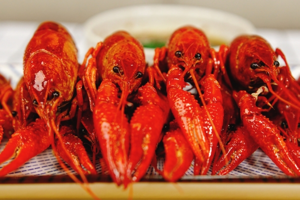 小龍蝦吃多了對身體有什么影響 小龍蝦的日常做法-易網(wǎng)健康<a href=http://www.xllyou.com/jkys/ target=_blank class=infotextkey>養(yǎng)生</a>網(wǎng) 小龍蝦吃多了對身體有什么影響 小龍蝦的日常做法