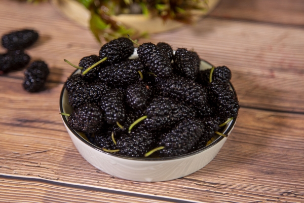 桑葚泡酒泡多久可以喝 女性喝什么泡酒比較好-易網健康<a href=http://www.xllyou.com/jkys/ target=_blank class=infotextkey>養生</a>網 桑葚泡酒泡多久可以喝 女性喝什么泡酒比較好