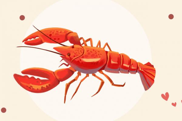 小龍蝦頭部的黃色部分能吃嗎 小龍蝦的季節(jié)是幾月份到幾月份