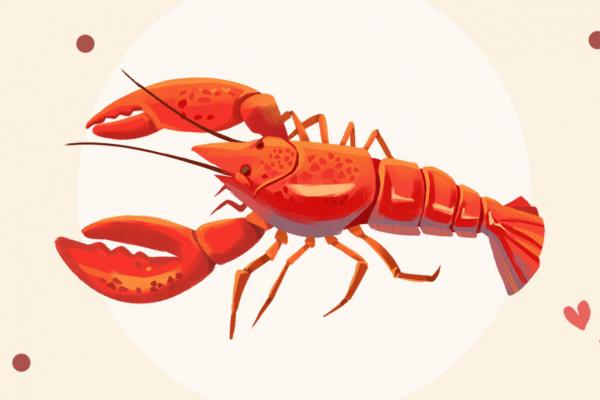 來大姨媽可以吃小龍蝦嗎 生理期不適合吃什么水果-易網健康<a href=http://www.xllyou.com/jkys/ target=_blank class=infotextkey>養生</a>網 來大姨媽可以吃小龍蝦嗎 生理期不適合吃什么水果