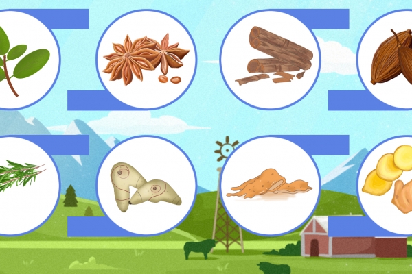 枇杷不能和什么一起吃 枇杷可以怎么吃-易網健康<a href=http://www.xllyou.com/jkys/ target=_blank class=infotextkey>養生</a>網 枇杷不能和什么一起吃 枇杷可以怎么吃