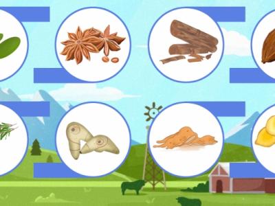 枇杷不能和什么一起吃 枇杷可以怎么吃