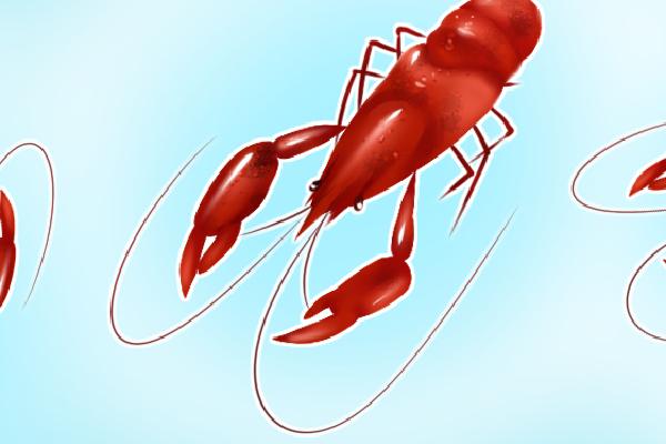 熟的小龍蝦隔夜能吃嗎 新鮮龍蝦怎么冷凍保存