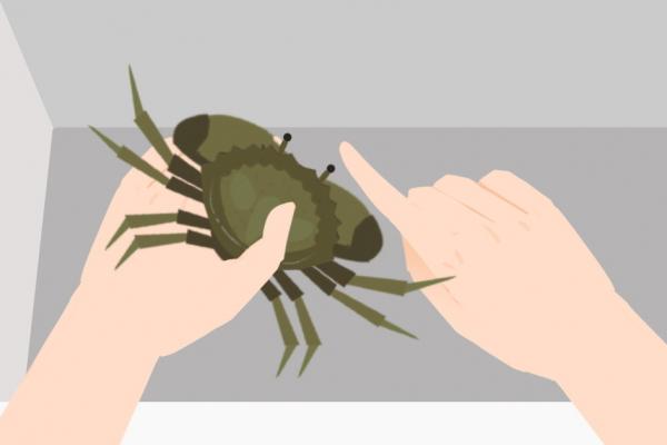 冰凍梭子蟹直接煮還是解凍后再煮 冷凍梭子蟹的快速解凍方法