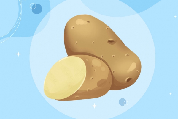 土豆三伏天怎么保存不壞 挑選新鮮的土豆小技巧-易網<a href=http://www.xllyou.com/ target=_blank class=infotextkey>健康養生</a>網 土豆三伏天怎么保存不壞 挑選新鮮的土豆小技巧