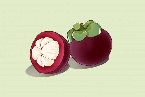 三伏天吃哪些水果最好 三伏天水果挑選技巧-易網(wǎng)健康養(yǎng)生網(wǎng) 三伏天吃哪些水果最好 三伏天水果挑選技巧