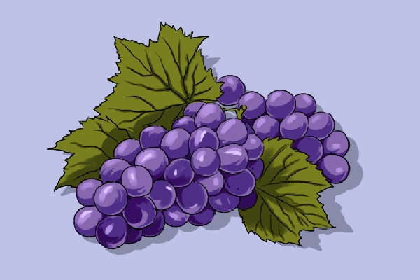 三伏天吃哪些水果最好 三伏天水果挑選技巧-易網(wǎng)<a href=http://www.xllyou.com/ target=_blank class=infotextkey>健康養(yǎng)生</a>網(wǎng) 三伏天吃哪些水果最好 三伏天水果挑選技巧