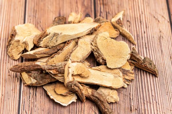 五指毛桃配什么煲湯最祛濕 五指毛桃煲湯的禁忌-易網健康<a href=http://www.xllyou.com/jkys/ target=_blank class=infotextkey>養生</a>網 五指毛桃配什么煲湯最祛濕 五指毛桃煲湯的禁忌